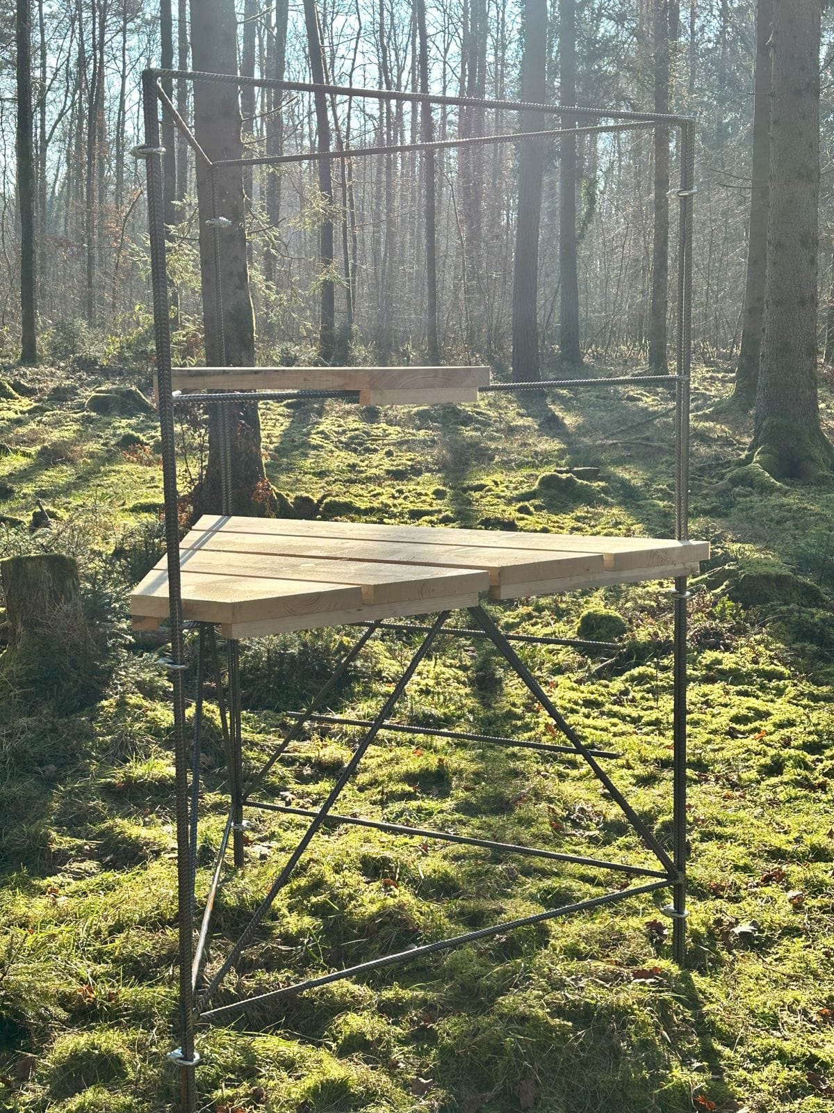 Dreieckiger Drückjagdbock im Wald, seitliche Ansicht mit Boden und Sitzbrett