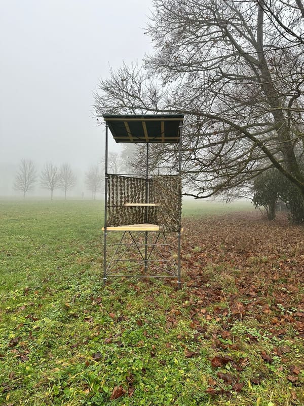 Drückjagdbock mit Dach und Tarnnetz auf einer Wiese im Nebel