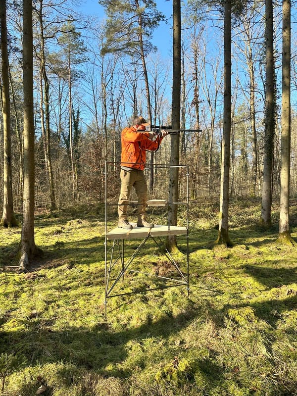 Jäger zielt stehend vom Drückjagdbock im Wald